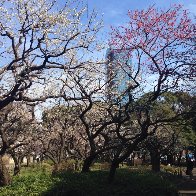 f:id:megumishimizu:20150304213150j:plain f:id:megumishimizu:20150304213150j:plain