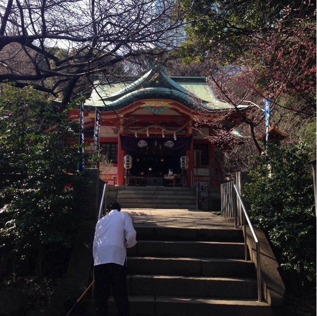 f:id:megumishimizu:20150304213334j:plain f:id:megumishimizu:20150304213334j:plain
