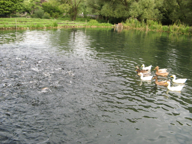 f:id:megurukisetu:20130903182401j:image:w640 f:id:megurukisetu:20130903182401j:image:w640