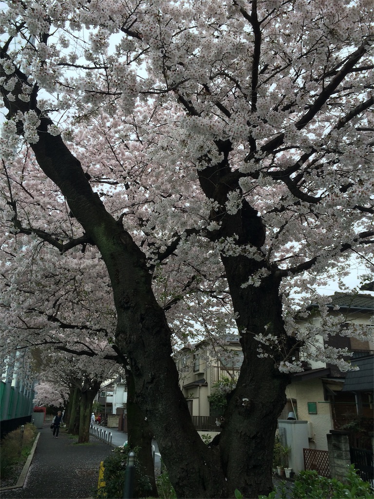 f:id:megurukisetu:20160424180603j:image f:id:megurukisetu:20160424180603j:image