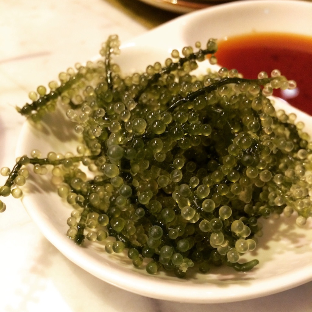 f:id:mei0987:20150910095709j:image f:id:mei0987:20150910095709j:image