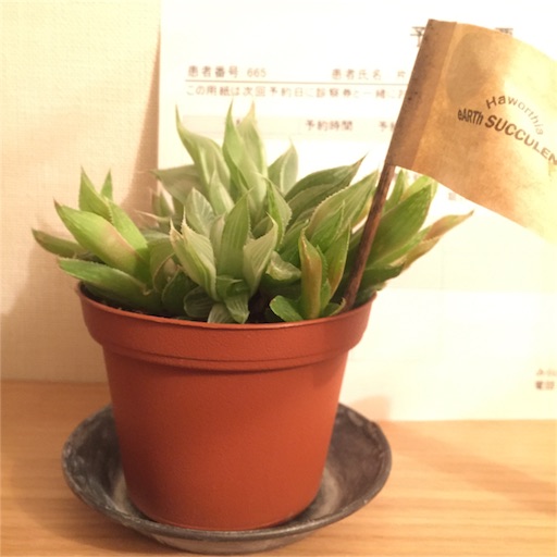 f:id:mekotasu:20160306185041j:image f:id:mekotasu:20160306185041j:image