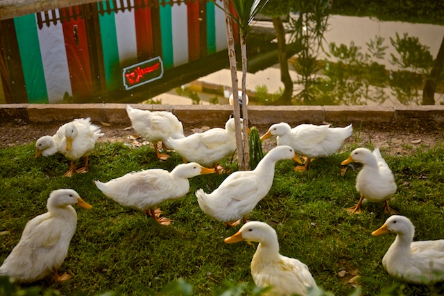 f:id:meltdown_int:20160305184744j:plain f:id:meltdown_int:20160305184744j:plain