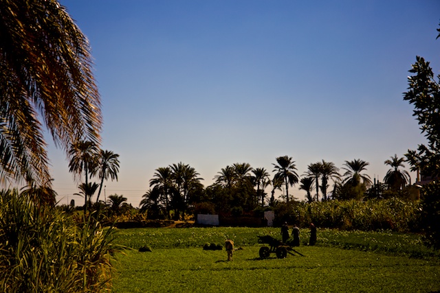 f:id:meltdown_int:20160305185020j:plain f:id:meltdown_int:20160305185020j:plain