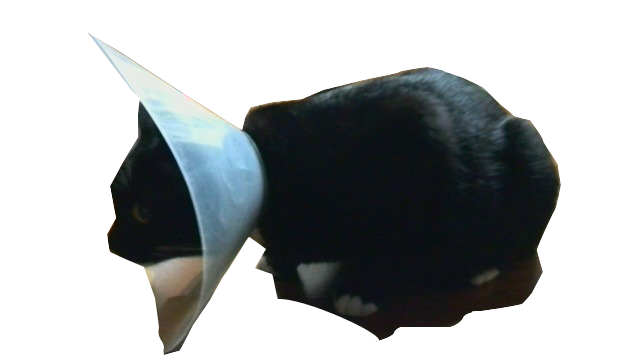 f:id:memo7073:20150905134518p:plain f:id:memo7073:20150905134518p:plain