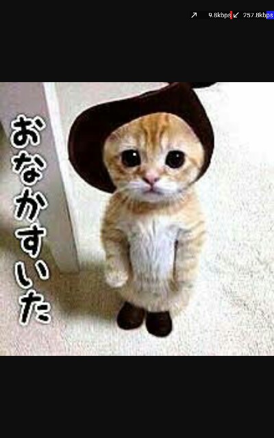 f:id:merimutsu:20160609195524j:image f:id:merimutsu:20160609195524j:image