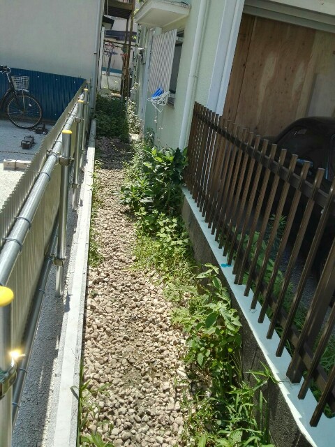 f:id:merimutsu:20160704234639j:image f:id:merimutsu:20160704234639j:image