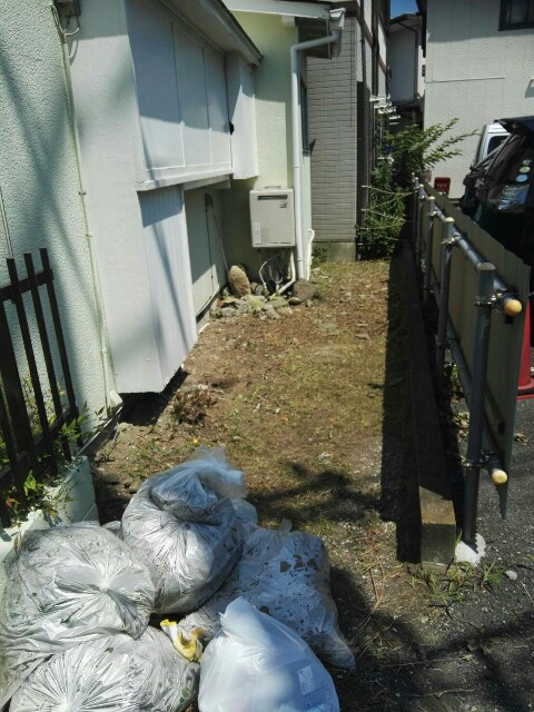 f:id:merimutsu:20160704234955j:image f:id:merimutsu:20160704234955j:image