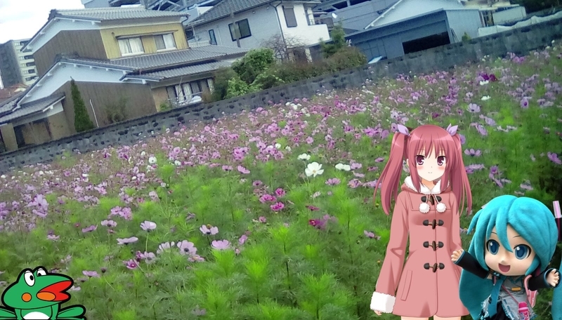 f:id:merumeruxxxx:20181213173918j:image