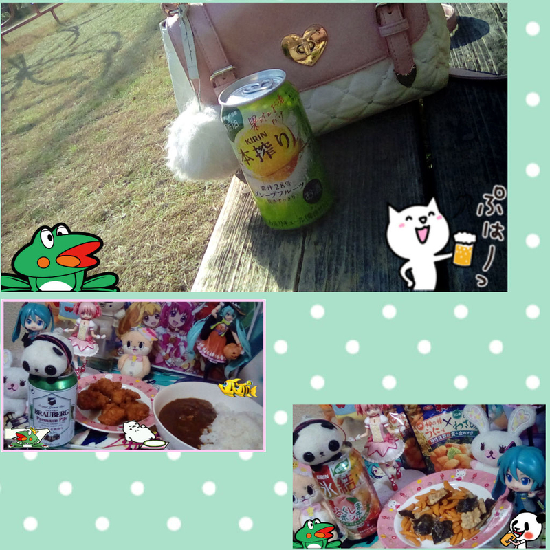 f:id:merumeruxxxx:20190124171211j:image