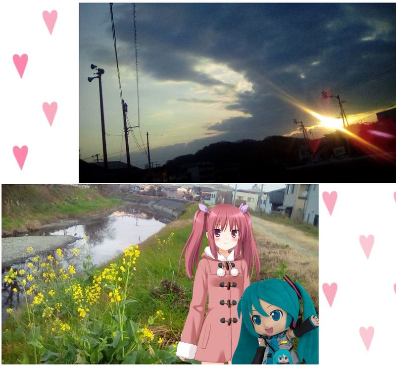f:id:merumeruxxxx:20190124171218j:image