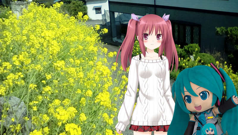 f:id:merumeruxxxx:20190321174447j:image