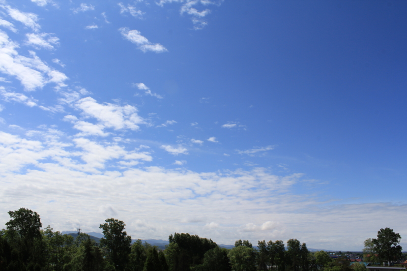 f:id:mesitsu_lc:20160616140235j:plain