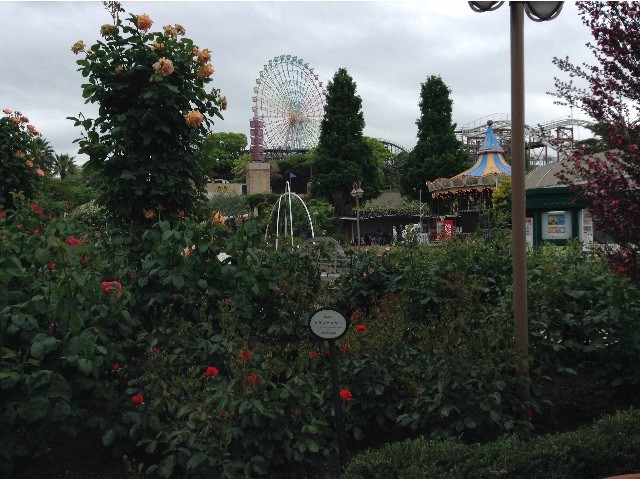 f:id:mesomeso:20150619111822j:image f:id:mesomeso:20150619111822j:image