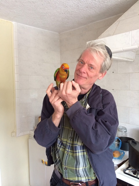 f:id:mexicoiiyone:20150206173010j:plain f:id:mexicoiiyone:20150206173010j:plain