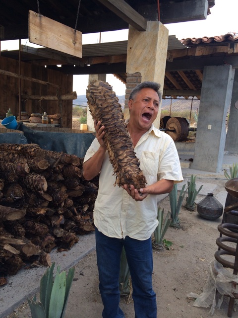 f:id:mexicoiiyone:20150215230427j:plain f:id:mexicoiiyone:20150215230427j:plain