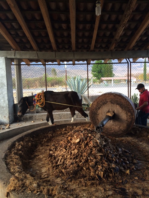 f:id:mexicoiiyone:20150215230906j:plain f:id:mexicoiiyone:20150215230906j:plain