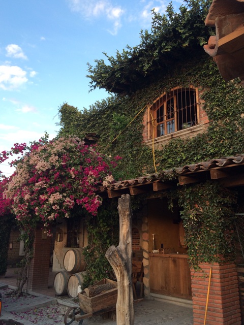 f:id:mexicoiiyone:20150215231602j:plain f:id:mexicoiiyone:20150215231602j:plain