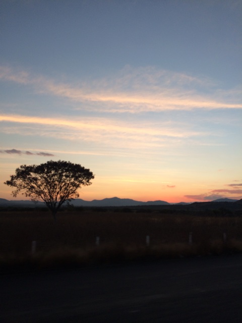 f:id:mexicoiiyone:20150215232628j:plain f:id:mexicoiiyone:20150215232628j:plain