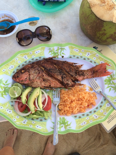 f:id:mexicoiiyone:20150217074501j:plain f:id:mexicoiiyone:20150217074501j:plain