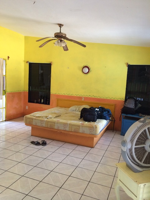 f:id:mexicoiiyone:20150224133425j:plain f:id:mexicoiiyone:20150224133425j:plain