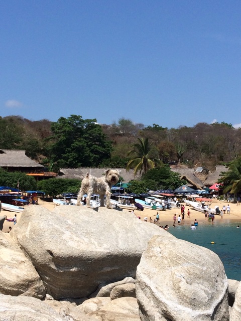 f:id:mexicoiiyone:20150225050540j:plain f:id:mexicoiiyone:20150225050540j:plain