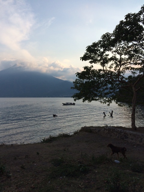 f:id:mexicoiiyone:20150302011911j:plain f:id:mexicoiiyone:20150302011911j:plain