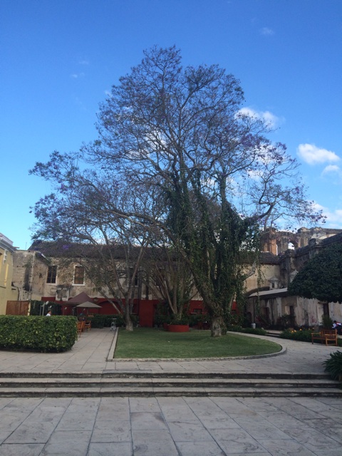 f:id:mexicoiiyone:20150302225158j:plain f:id:mexicoiiyone:20150302225158j:plain