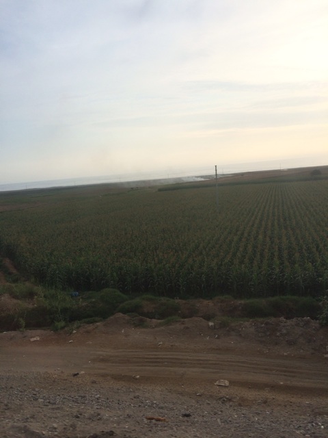 f:id:mexicoiiyone:20150309073438j:plain f:id:mexicoiiyone:20150309073438j:plain