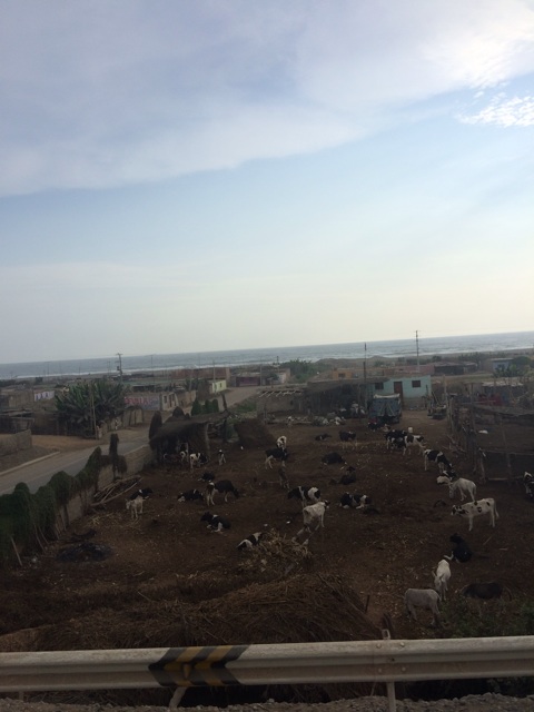 f:id:mexicoiiyone:20150309073528j:plain f:id:mexicoiiyone:20150309073528j:plain