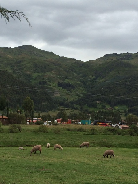 f:id:mexicoiiyone:20150309075748j:plain f:id:mexicoiiyone:20150309075748j:plain