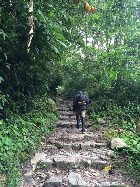f:id:mexicoiiyone:20150309132659j:plain f:id:mexicoiiyone:20150309132659j:plain