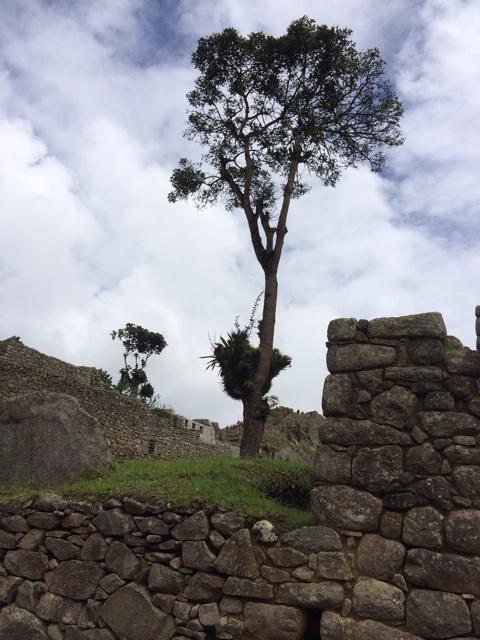 f:id:mexicoiiyone:20150309203746j:plain f:id:mexicoiiyone:20150309203746j:plain