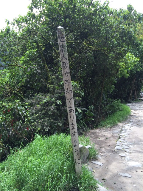 f:id:mexicoiiyone:20150309204648j:plain f:id:mexicoiiyone:20150309204648j:plain