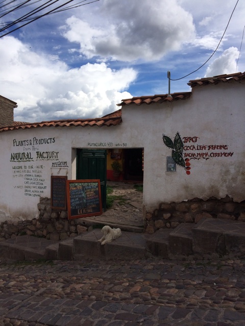 f:id:mexicoiiyone:20150313150958j:plain f:id:mexicoiiyone:20150313150958j:plain