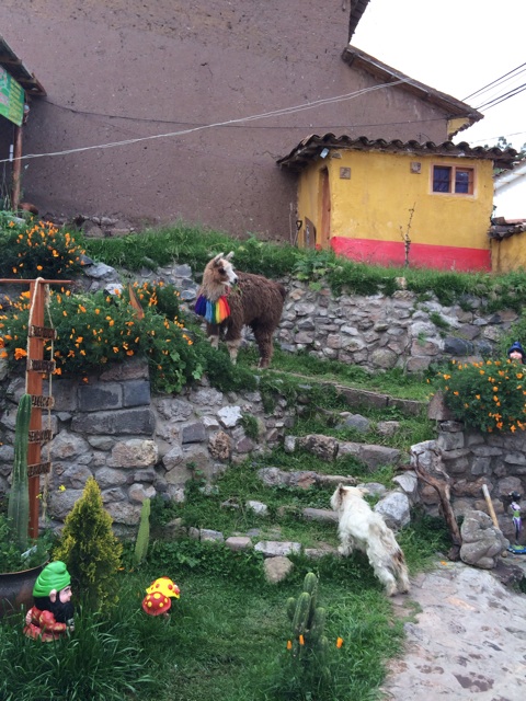 f:id:mexicoiiyone:20150313151447j:plain f:id:mexicoiiyone:20150313151447j:plain