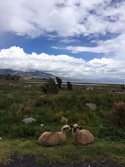 f:id:mexicoiiyone:20150317075702j:plain f:id:mexicoiiyone:20150317075702j:plain