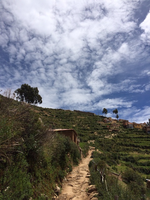 f:id:mexicoiiyone:20150317084941j:plain f:id:mexicoiiyone:20150317084941j:plain