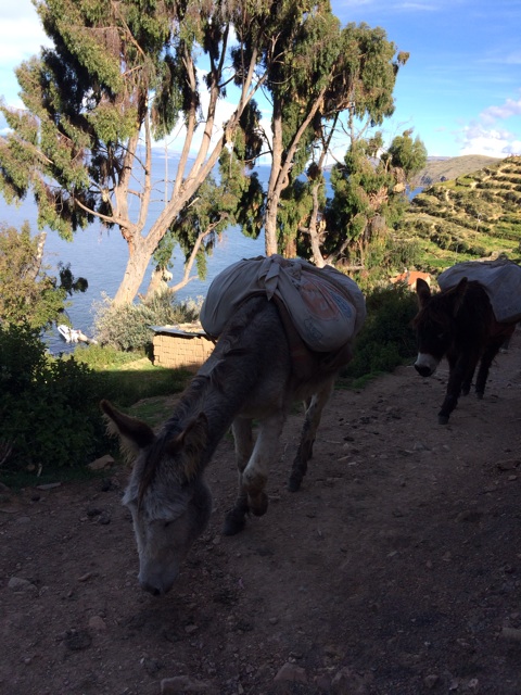 f:id:mexicoiiyone:20150317085455j:plain f:id:mexicoiiyone:20150317085455j:plain