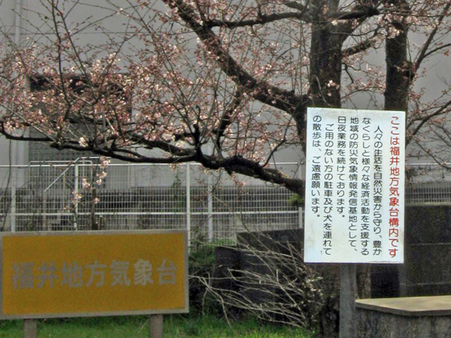 f:id:mfigure:20160329181055j:plain f:id:mfigure:20160329181055j:plain