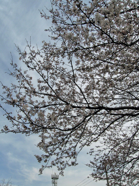 f:id:mfigure:20160329181920j:plain f:id:mfigure:20160329181920j:plain