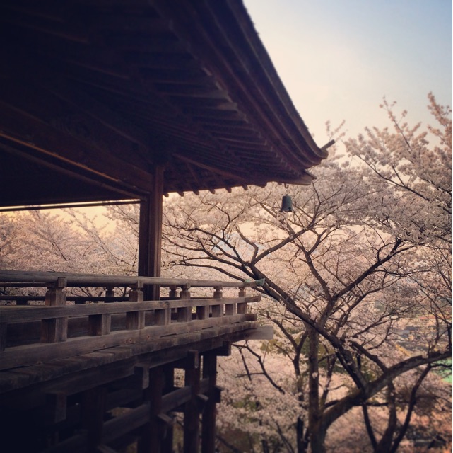 f:id:mg0905:20150319212536j:plain f:id:mg0905:20150319212536j:plain