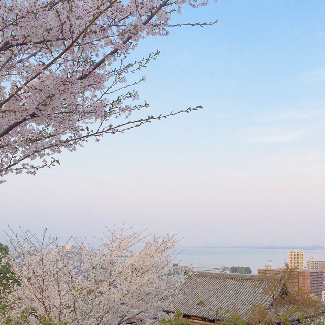 f:id:mg0905:20150319222847j:plain f:id:mg0905:20150319222847j:plain