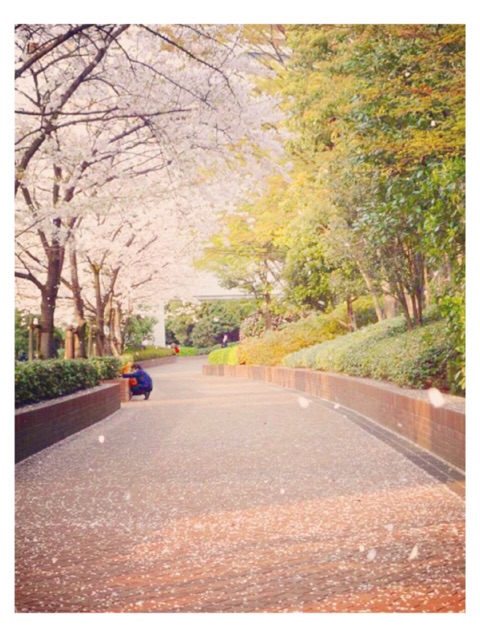 f:id:mg0905:20150321182617j:plain f:id:mg0905:20150321182617j:plain
