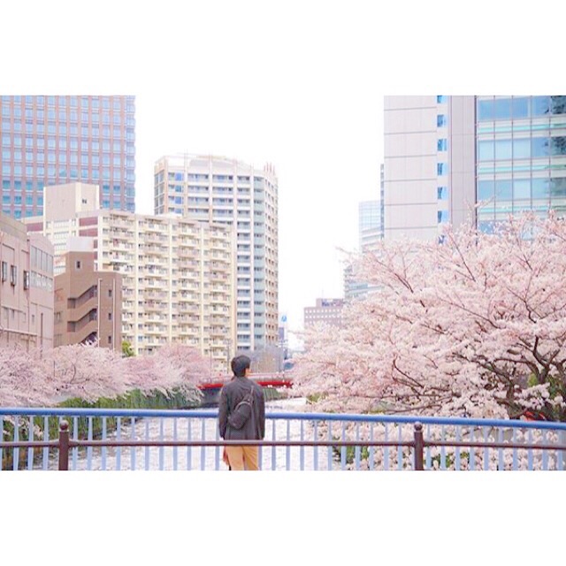 f:id:mg0905:20150329231537j:plain f:id:mg0905:20150329231537j:plain