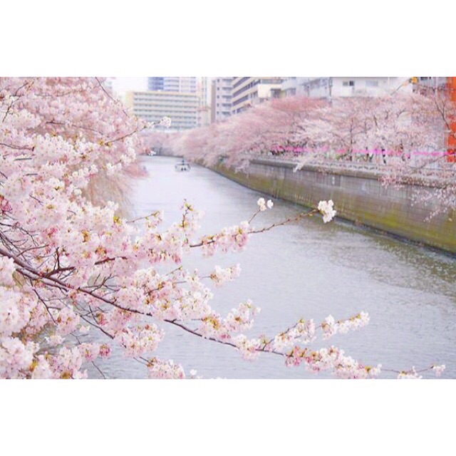 f:id:mg0905:20150329231732j:plain f:id:mg0905:20150329231732j:plain