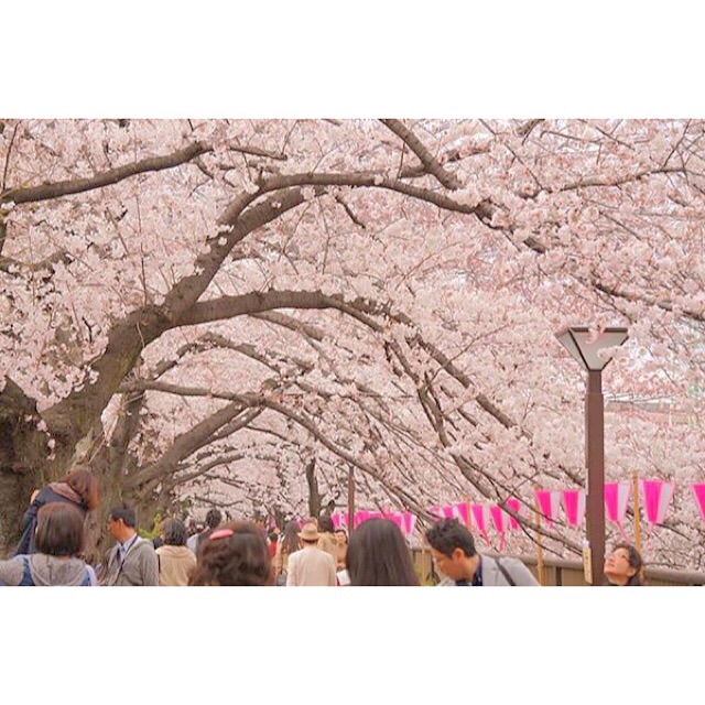 f:id:mg0905:20150329231748j:plain f:id:mg0905:20150329231748j:plain