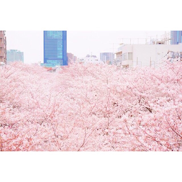 f:id:mg0905:20150329231847j:plain f:id:mg0905:20150329231847j:plain
