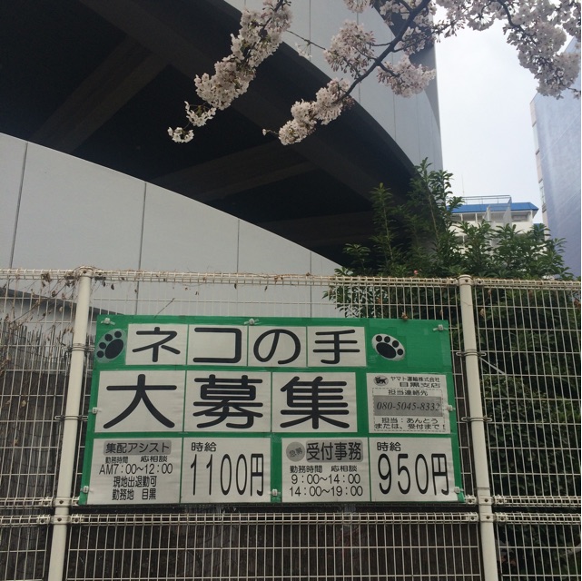 f:id:mg0905:20150405200620j:plain f:id:mg0905:20150405200620j:plain