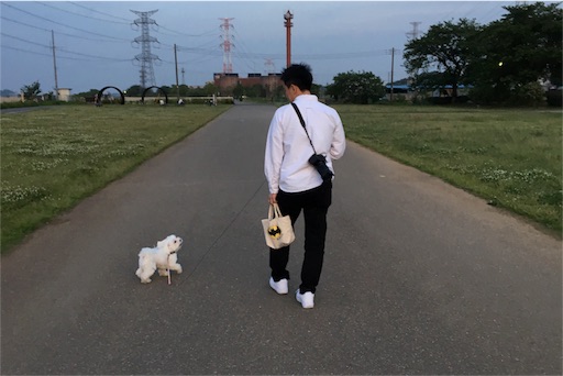 f:id:mi-chan37blog:20160508225335j:image f:id:mi-chan37blog:20160508225335j:image